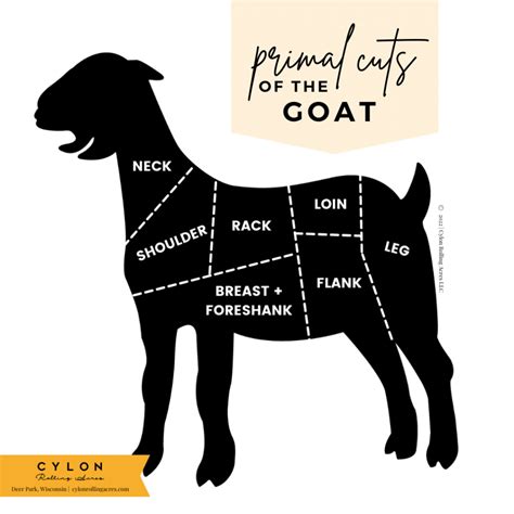 Goat Meat & Cholesterol: What’s the Connection?