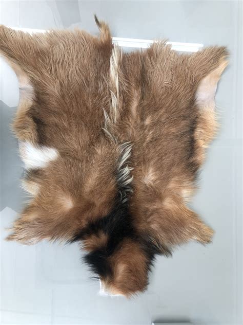 Luxuriously Soft Goat Skins For Sale - Elevate Your Fashion Game with Our Premium Leather
