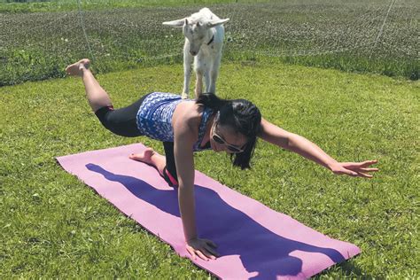 Goat Yoga Poses