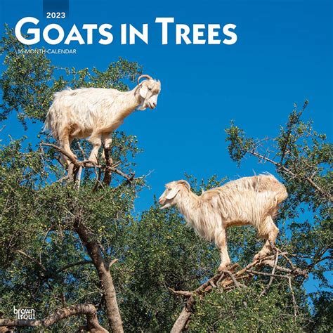 Goats In Trees Calendar