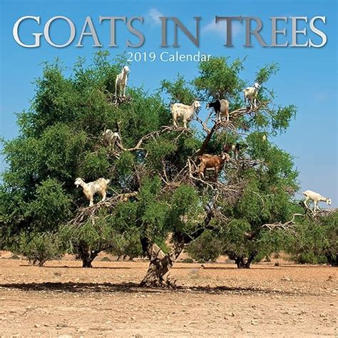 Goats And Trees Calendar