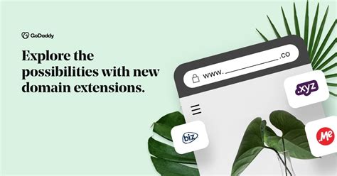 Godaddy Domain Extensions