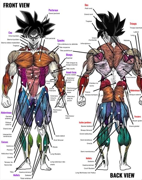Gokus Back Muscle