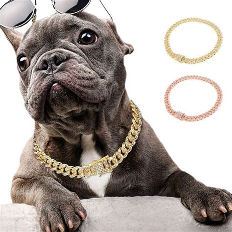 Gold Chain Dog