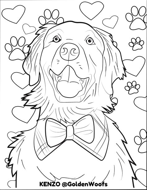Golden Retriever Coloring Pages