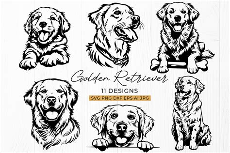 Unleash Adorable Charm with our Stunning Golden Retriever SVG Cut Files - The Ultimate Addition to Your Crafting Arsenal!