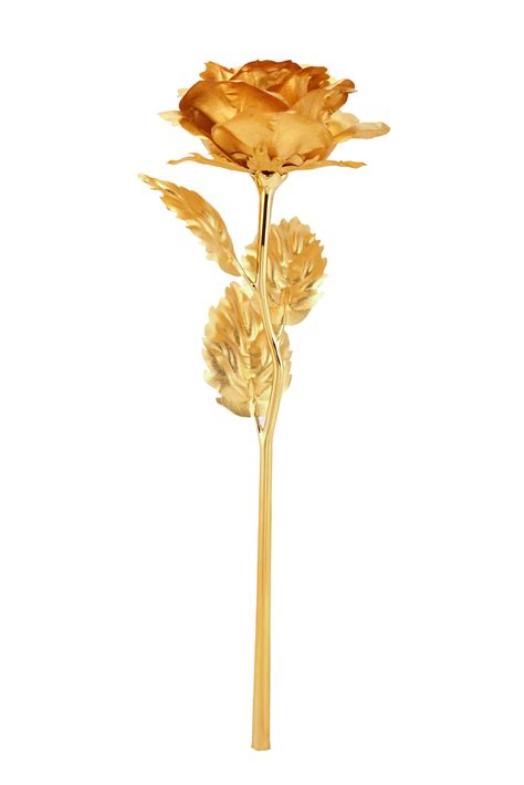 Golden Rose