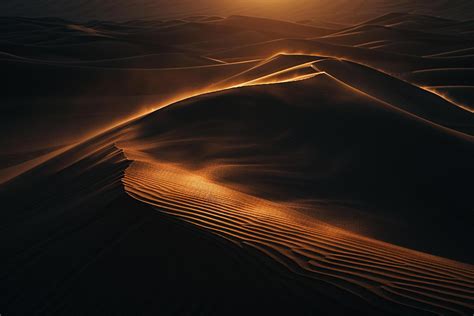 Golden Shadows Landscape