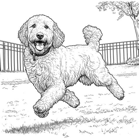 Goldendoodle Coloring Pages