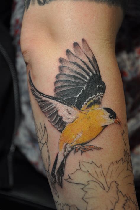 Goldfinch Tattoo