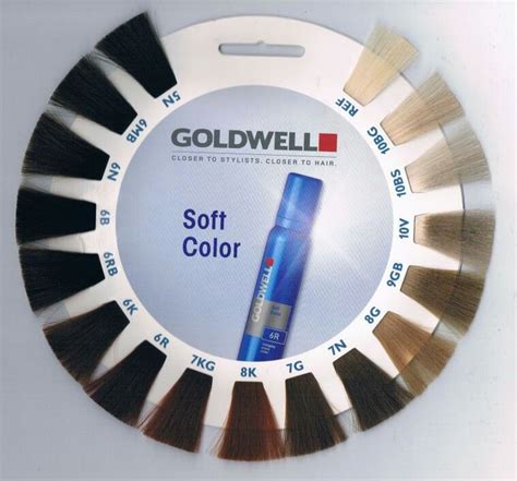 Who Should Be Using Goldwell Soft Color? Identifying Your Need