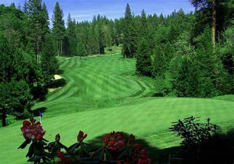 Golf Course Apple Hill Ca