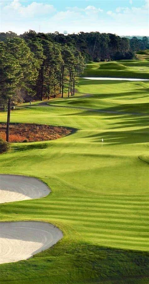 Golf Course Background For Android