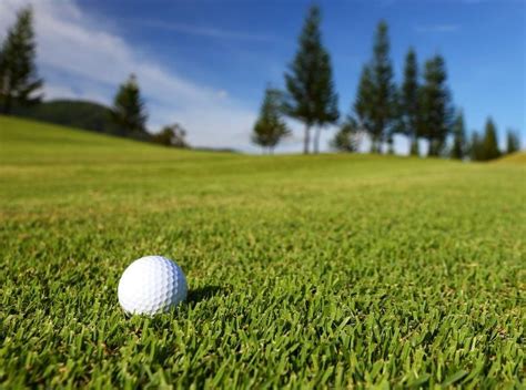 Golf Course Grass Australia