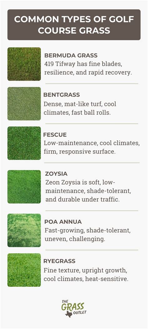 Golf Course Grass Types Australia