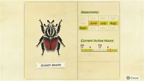 Goliath Beetle in Animal Crossing: Everything You Need to Know About this Giant Insect