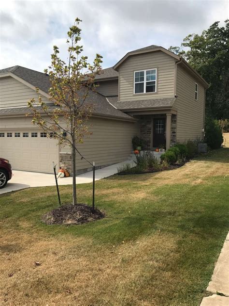 Magnificent Goliath Properties for Sale - Experience Luxurious Living Like Never Before!