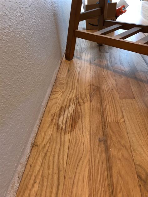 flooring Spot repair hardwood floor due to Goo Gone Home Improvement Stack Exchange