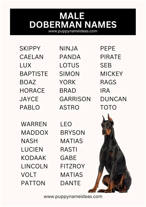 26 best images about Dog Names on Pinterest Irish, Dog supplies and