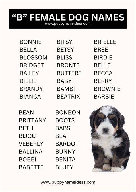 Good Dog Names That Start With B For A Girl