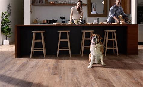 What's the Best Flooring for Dogs and Cats?