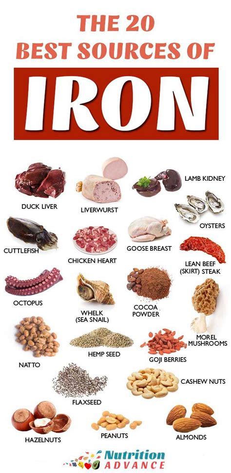 Fuel your body with the power of iron-rich foods for optimum health and vitality