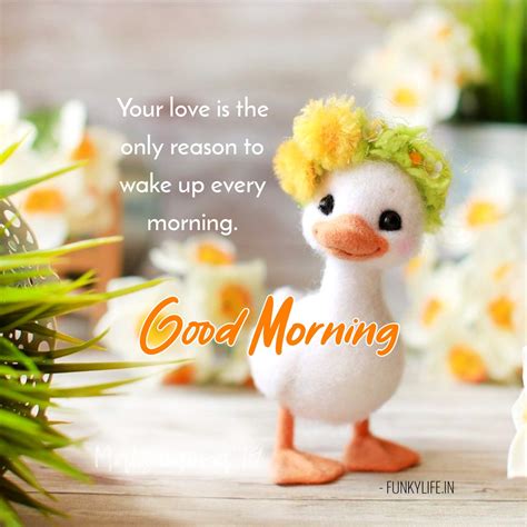 Good Morning Cute Quotes