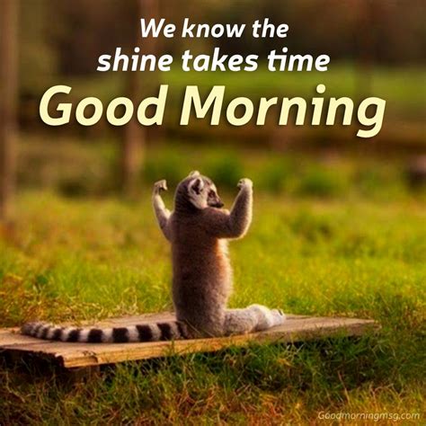 Good Morning Memes For Him