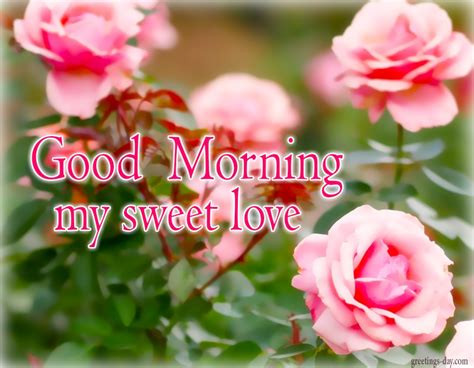 Good Morning My Sweet