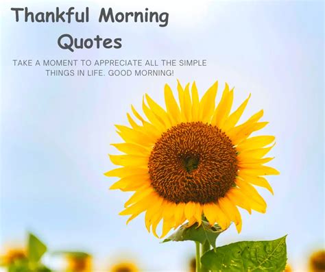 Good Morning Thankful Quotes