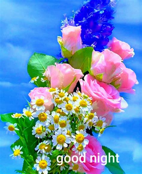 Good Night Flower Image