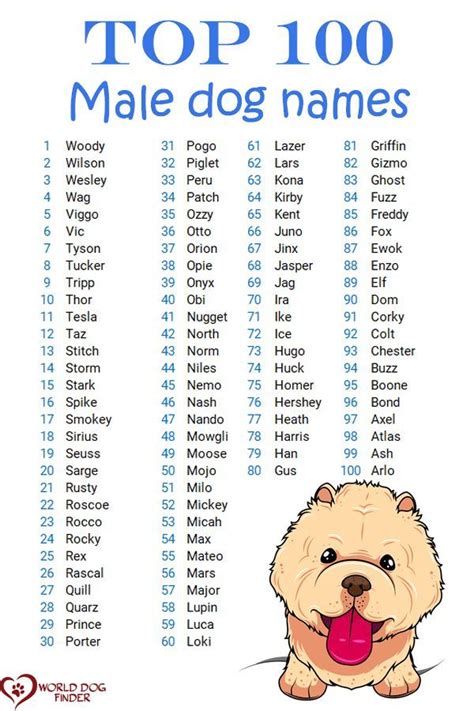 Good Puppy Names Boy