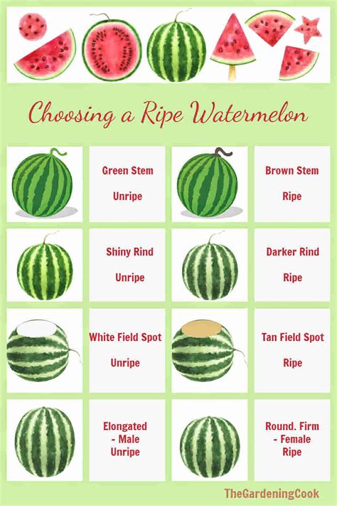 Good Watermelon Chart