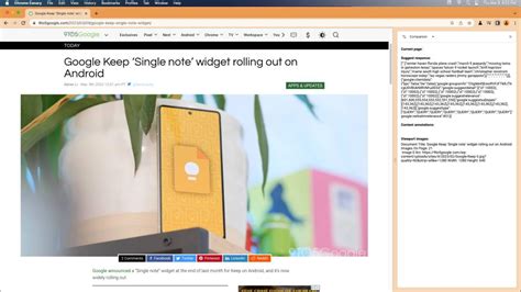 Google Chrome Search Companion