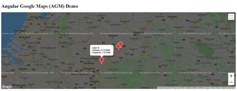 Angular Google Maps using agm/core Example