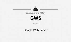 Google Web Server (GWS)