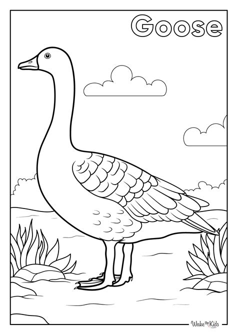 Goose Coloring Page
