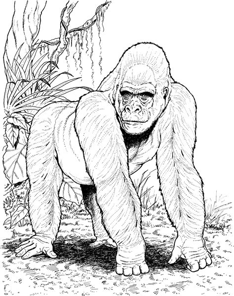 Gorilla Coloring Pages Printable