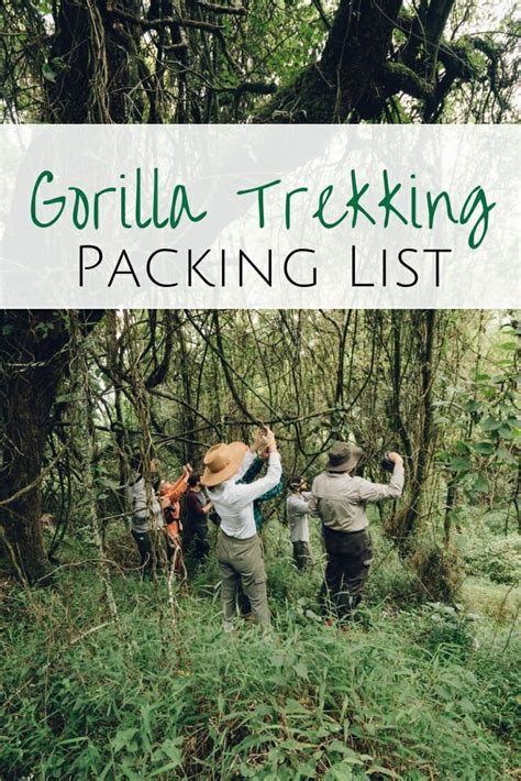 Gorilla Safari Packing List