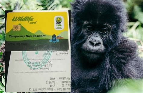 Gorilla Trekking Permit