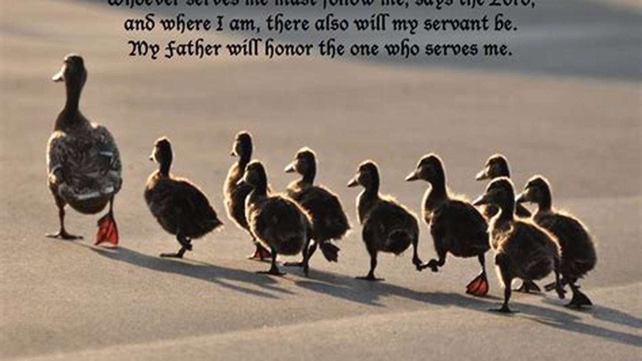 Gospel For October 1 2025
