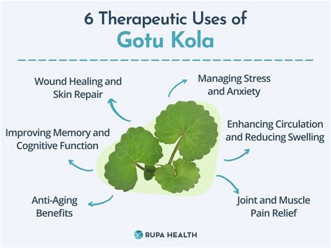 Gotu
