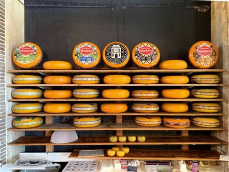 Gouda Cheese Tasting