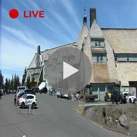 Experience the Ultimate Mountain View: Live Web Cameras in Government Camp