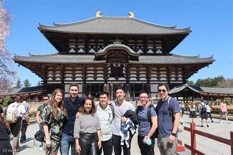 Government Licensed Tour Guide