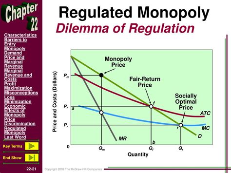 Government Regulated Monopoly Example