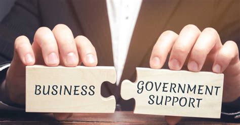 Government Support and Policies