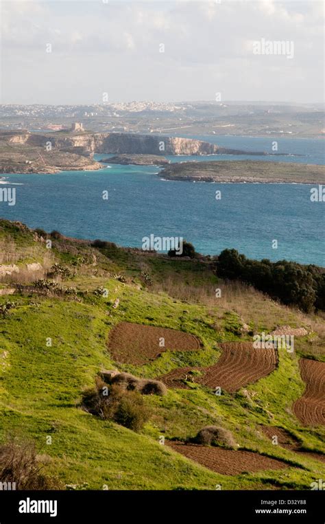 Gozo Landscape