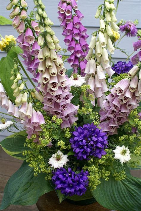 Graceful Foxgloves