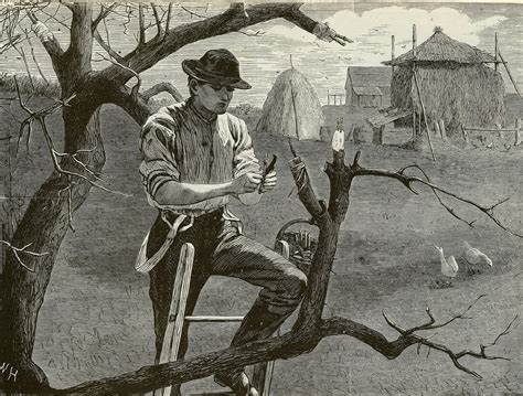 Uncovering the Roots of Graft: A Historical Account of Corruption in the United States